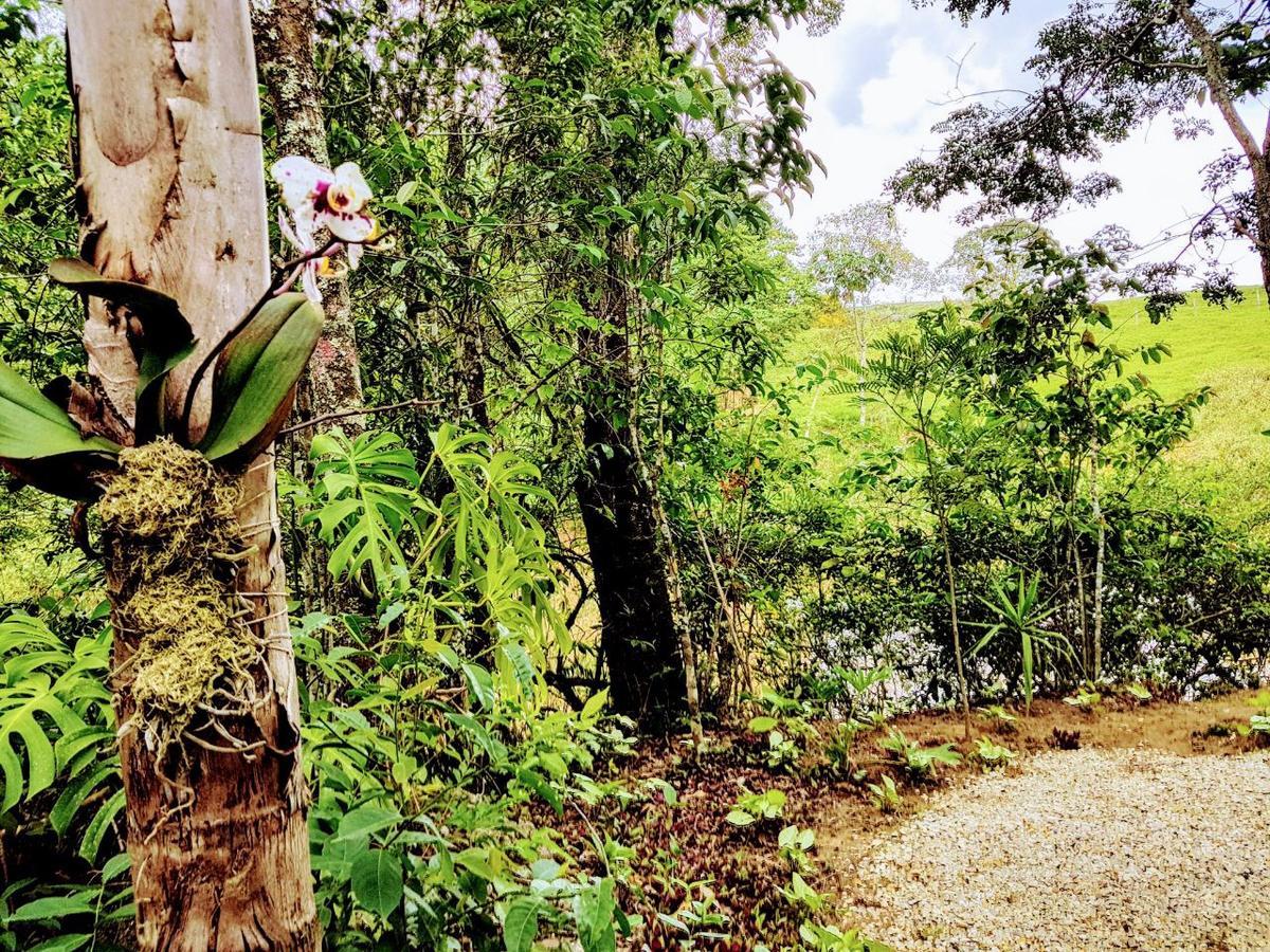 Pousada Santa Thereza Serra Negra  Ngoại thất bức ảnh