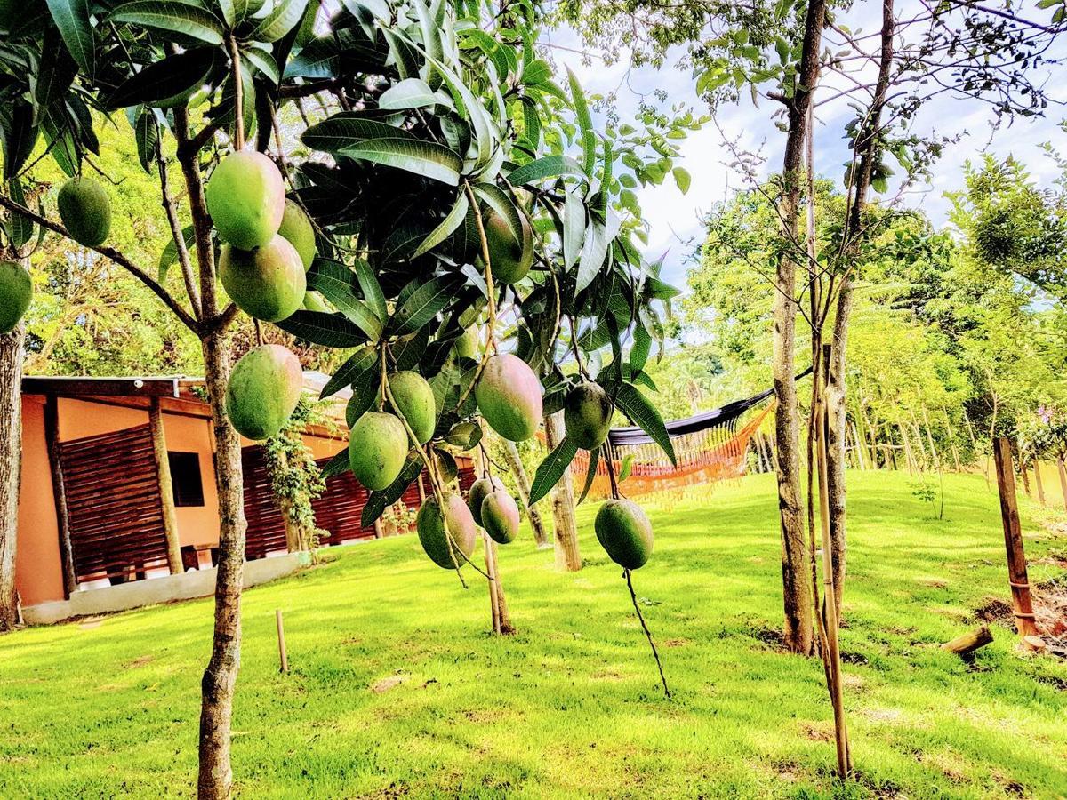 Pousada Santa Thereza Serra Negra  Ngoại thất bức ảnh