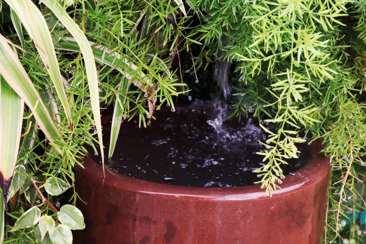 Pousada Santa Thereza Serra Negra  Ngoại thất bức ảnh